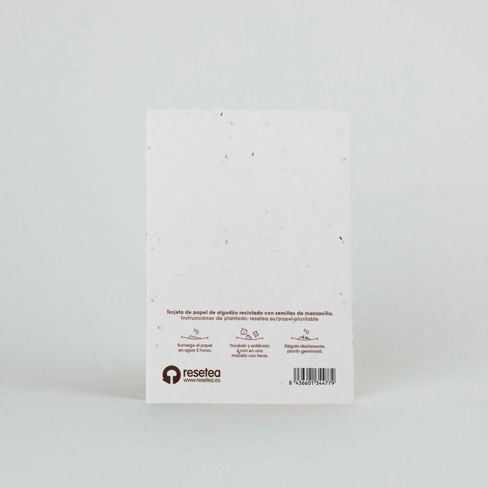 Postal plantable - Feliz cumpleaños tarta