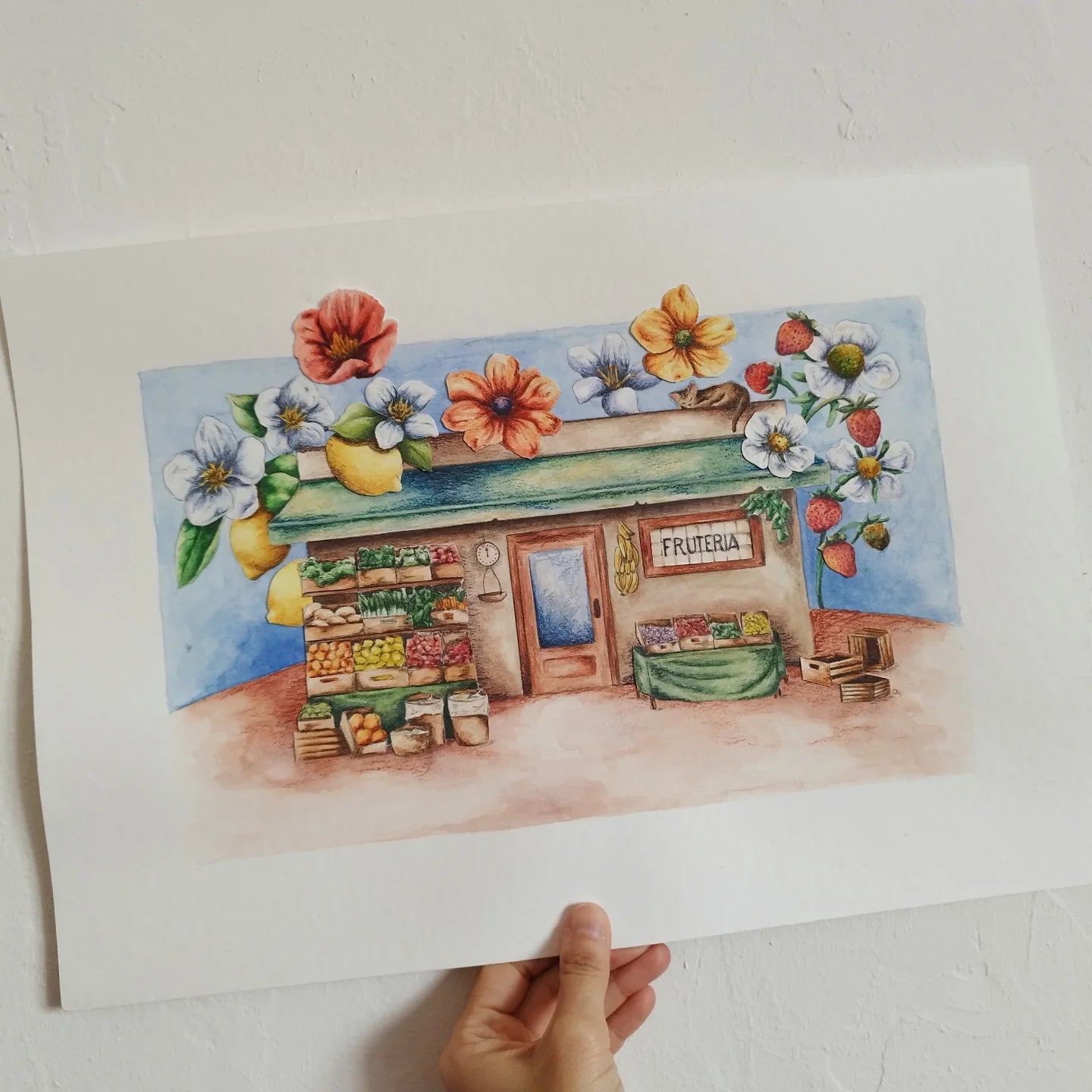 Lámina frutería