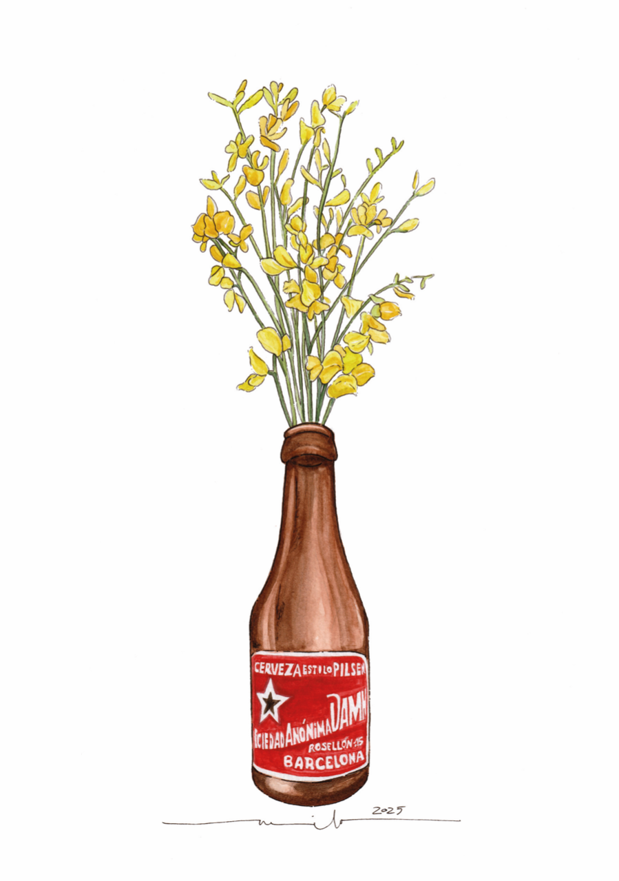 Lámina Botellín Estrella Damm con flores amarillas (ginesta)
