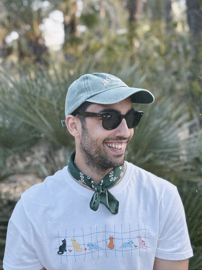 Camiseta de gatos bonitos