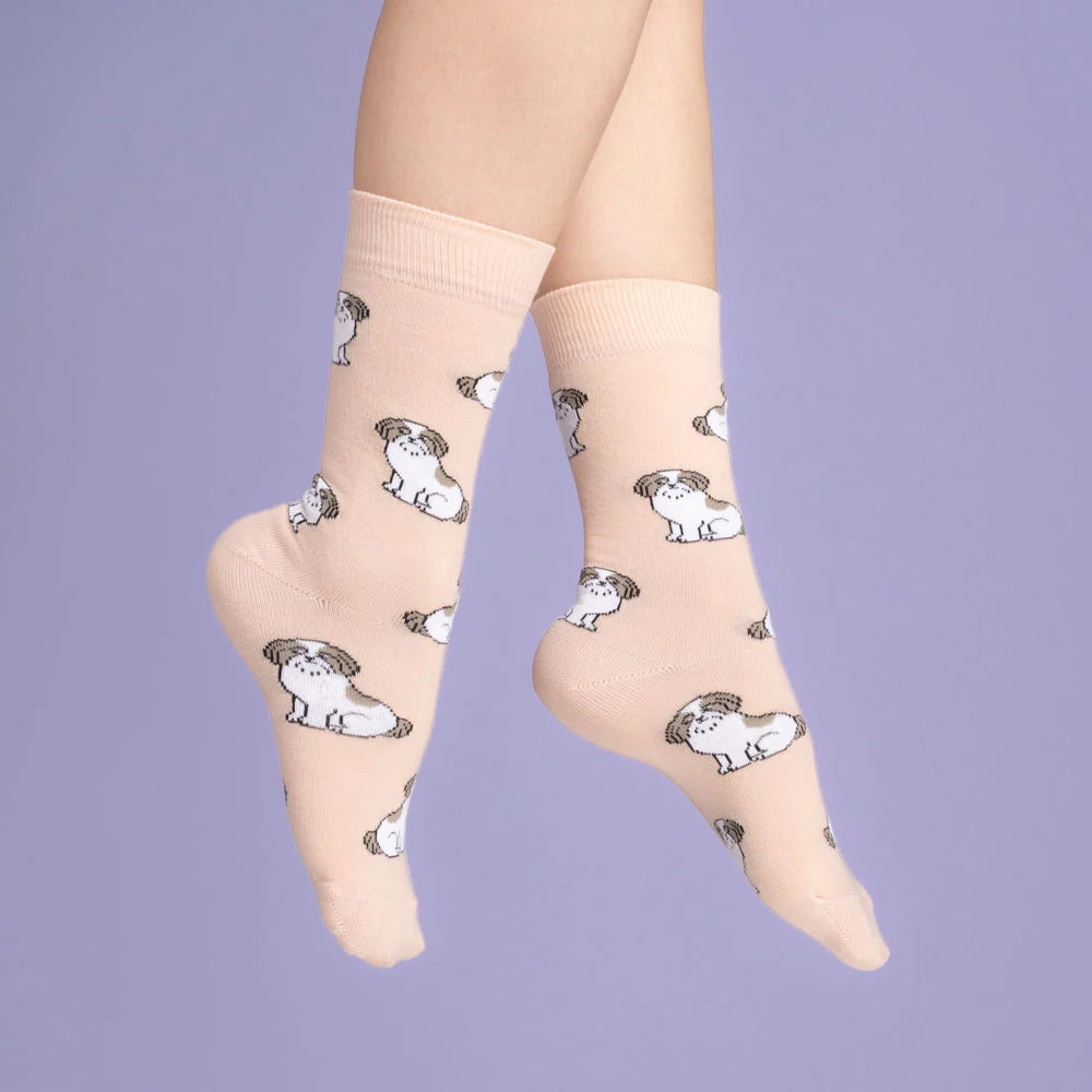 Calcetines coral Shintzu perro