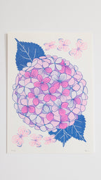 Lámina Hortensias rosas risografía