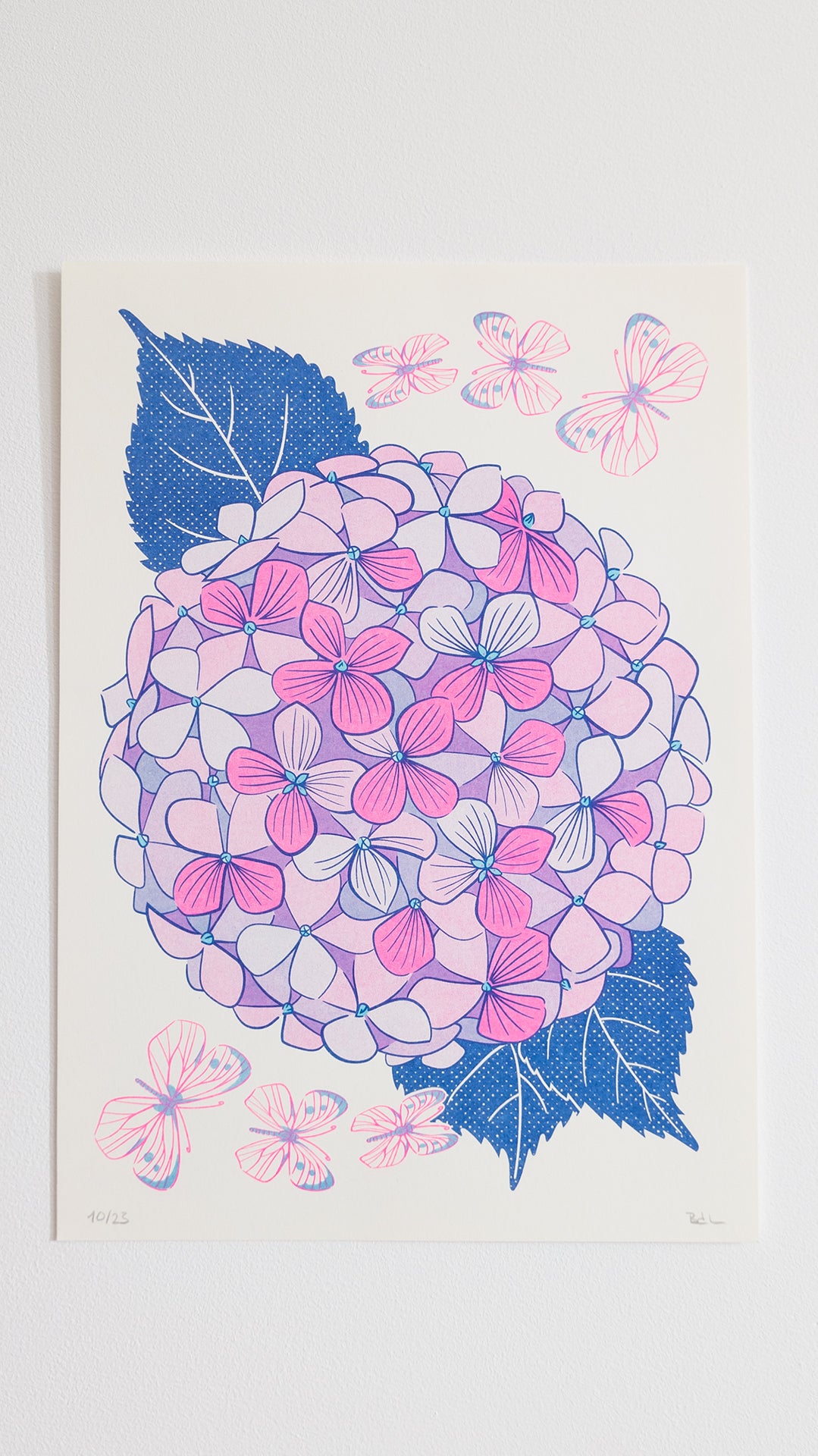 Lámina Hortensias rosas risografía