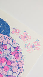 Lámina Hortensias rosas risografía