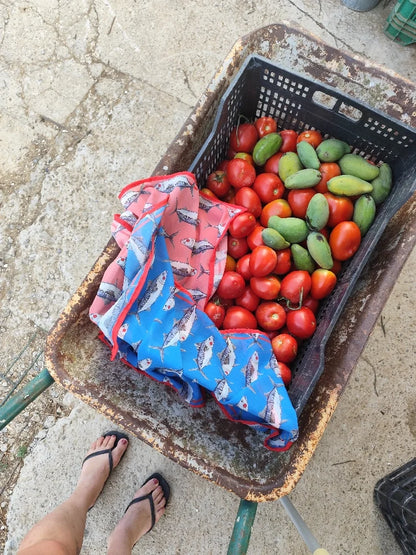 Pañuelo MAXI a la rica Caballa