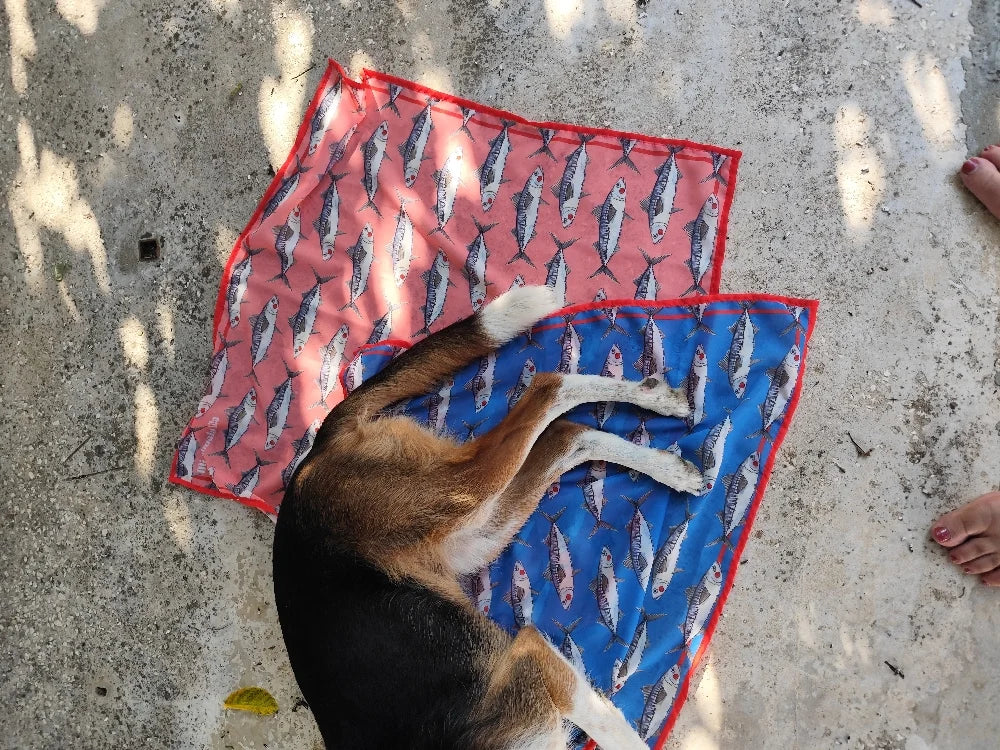 Pañuelo MAXI a la rica Caballa